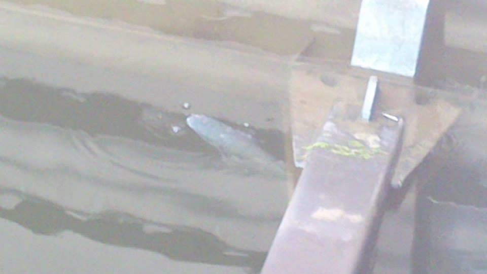 prin toate colturile lumii - danemarca2013